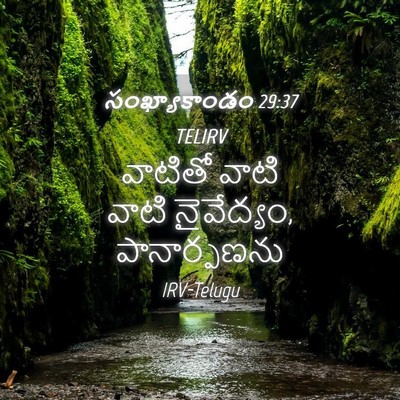 Picture 04 - సంఖ్యాకాండం 29:37 TELIRV - వాటితో వాటి వాటి - Bible Verse Picture
