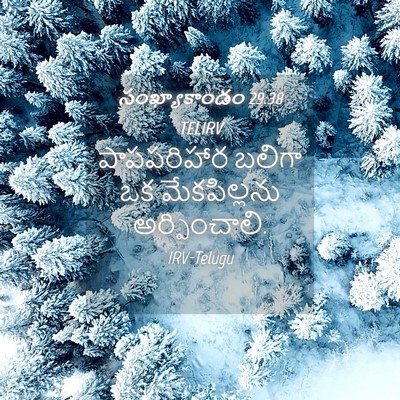 Picture 04 - సంఖ్యాకాండం 29:38 TELIRV - పాపపరిహార బలిగా - Bible Verse Picture