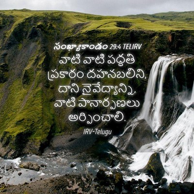 Picture 04 - సంఖ్యాకాండం 29:4 TELIRV - వాటి వాటి పద్ధతి - Bible Verse Picture