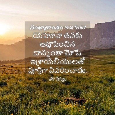 Picture 04 - సంఖ్యాకాండం 29:40 TELIRV - యెహోవా తనకు - Bible Verse Picture