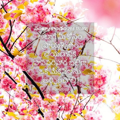 Picture 04 - సంఖ్యాకాండం 29:6 TELIRV - అలాగే మీ కోసం - Bible Verse Picture