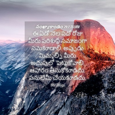 Picture 04 - సంఖ్యాకాండం 29:7 TELIRV - ఈ ఏడో నెల పదో రోజు - Bible Verse Picture