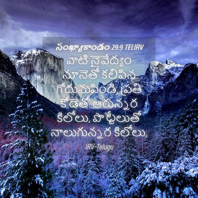 Picture 04 - సంఖ్యాకాండం 29:9 TELIRV - వాటి నైవేద్యం - Bible Verse Picture