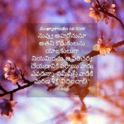 Picture 04 - సంఖ్యాకాండం 3:10 TELIRV - నువ్వు అహరోనునూ - Bible Verse Picture