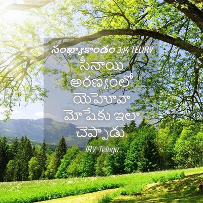 Picture 04 - సంఖ్యాకాండం 3:14 TELIRV - సీనాయి అరణ్యంలో - Bible Verse Picture