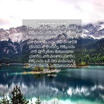 Picture 04 - సంఖ్యాకాండం 3:15 TELIRV - “లేవీ వంశానికి - Bible Verse Picture