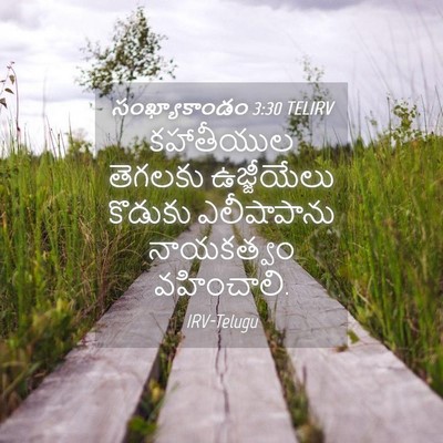 Picture 04 - సంఖ్యాకాండం 3:30 TELIRV - కహాతీయుల తెగలకు - Bible Verse Picture