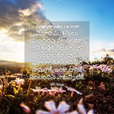 Picture 04 - సంఖ్యాకాండం 3:36 TELIRV - మెరారి వంశస్తులు - Bible Verse Picture