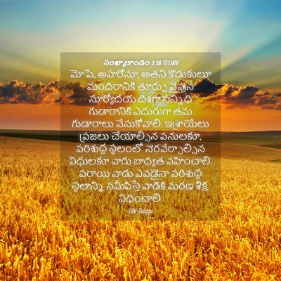 Picture 04 - సంఖ్యాకాండం 3:38 TELIRV - మోషే, అహరోనూ, అతని - Bible Verse Picture