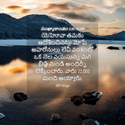 Picture 04 - సంఖ్యాకాండం 3:39 TELIRV - యెహోవా తమకు - Bible Verse Picture