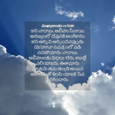 Picture 04 - సంఖ్యాకాండం 3:4 TELIRV - కాని నాదాబు, అబీహు - Bible Verse Picture