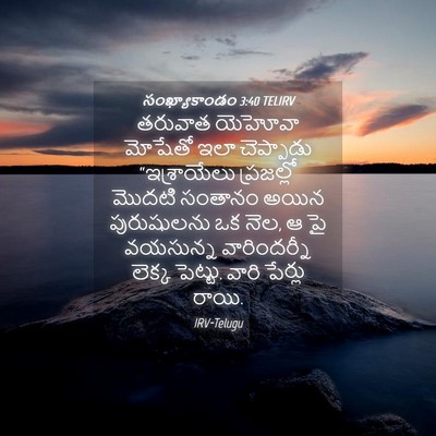 Picture 04 - సంఖ్యాకాండం 3:40 TELIRV - తరువాత యెహోవా - Bible Verse Picture