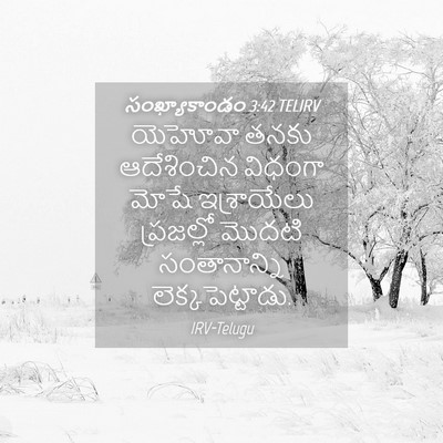 Picture 04 - సంఖ్యాకాండం 3:42 TELIRV - యెహోవా తనకు - Bible Verse Picture