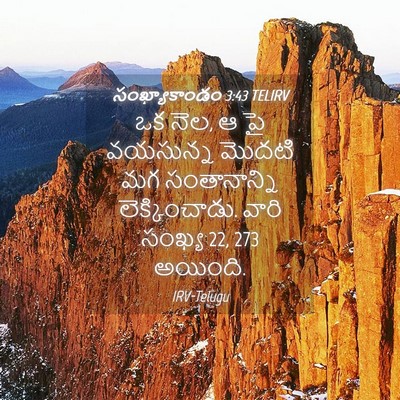 Picture 04 - సంఖ్యాకాండం 3:43 TELIRV - ఒక నెల, ఆ పై - Bible Verse Picture