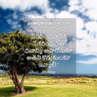 Picture 04 - సంఖ్యాకాండం 3:48 TELIRV - ఎక్కువైన వారిని - Bible Verse Picture