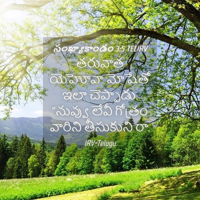 Picture 04 - సంఖ్యాకాండం 3:5 TELIRV - తరువాత యెహోవా - Bible Verse Picture