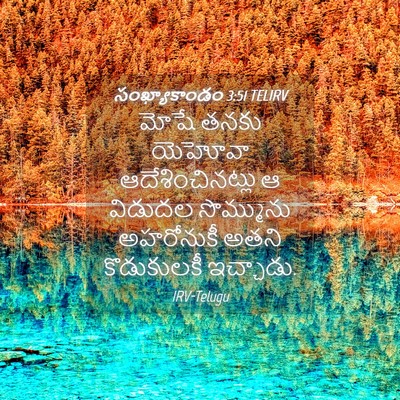 Picture 04 - సంఖ్యాకాండం 3:51 TELIRV - మోషే తనకు యెహోవా - Bible Verse Picture