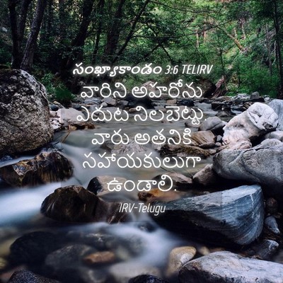 Picture 04 - సంఖ్యాకాండం 3:6 TELIRV - వారిని అహరోను - Bible Verse Picture