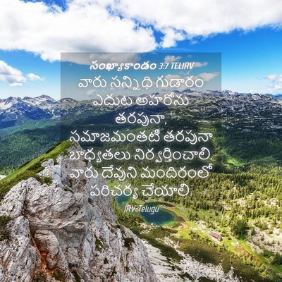Picture 04 - సంఖ్యాకాండం 3:7 TELIRV - వారు సన్నిధి - Bible Verse Picture