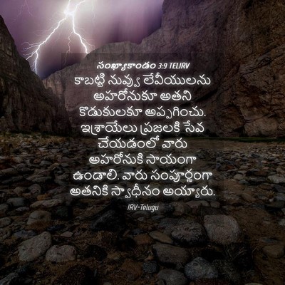 Picture 04 - సంఖ్యాకాండం 3:9 TELIRV - కాబట్టి నువ్వు - Bible Verse Picture