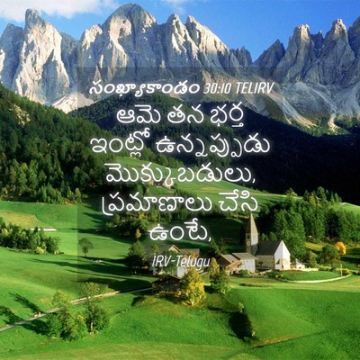 Picture 04 - సంఖ్యాకాండం 30:10 TELIRV - ఆమె తన భర్త ఇంట్లో - Bible Verse Picture