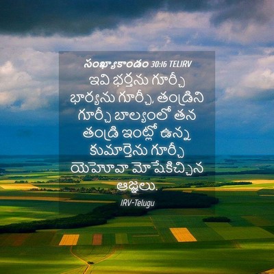Picture 04 - సంఖ్యాకాండం 30:16 TELIRV - ఇవి భర్తను గూర్చీ - Bible Verse Picture