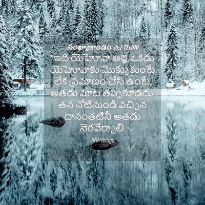 Picture 04 - సంఖ్యాకాండం 30:2 TELIRV - “ఇది యెహోవా ఆజ్ఞ. - Bible Verse Picture