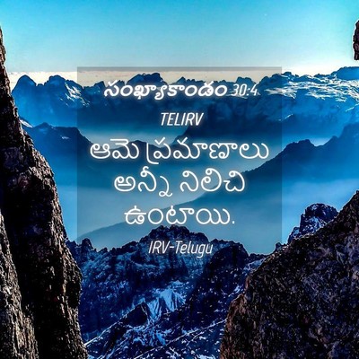 Picture 04 - సంఖ్యాకాండం 30:4 TELIRV - ఆమె ప్రమాణాలు - Bible Verse Picture