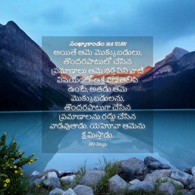 Picture 04 - సంఖ్యాకాండం 30:8 TELIRV - అయితే ఆమె - Bible Verse Picture
