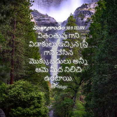 Picture 04 - సంఖ్యాకాండం 30:9 TELIRV - వితంతువు గాని - Bible Verse Picture