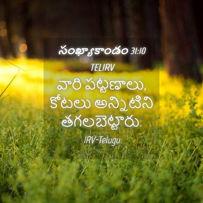 Picture 04 - సంఖ్యాకాండం 31:10 TELIRV - వారి పట్టణాలు, - Bible Verse Picture