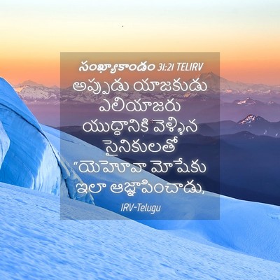 Picture 04 - సంఖ్యాకాండం 31:21 TELIRV - అప్పుడు యాజకుడు - Bible Verse Picture