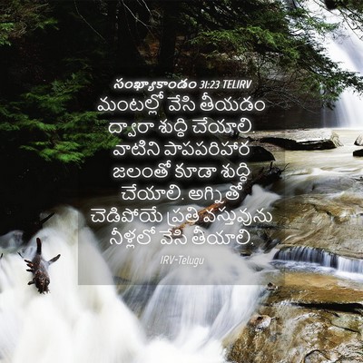 Picture 04 - సంఖ్యాకాండం 31:23 TELIRV - మంటల్లో వేసి - Bible Verse Picture