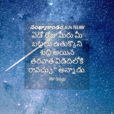 Picture 04 - సంఖ్యాకాండం 31:24 TELIRV - ఏడో రోజు మీరు మీ - Bible Verse Picture