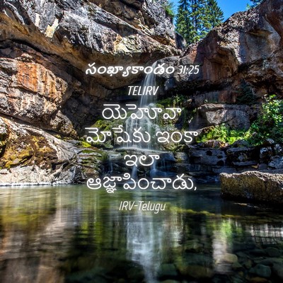 Picture 04 - సంఖ్యాకాండం 31:25 TELIRV - యెహోవా మోషేకు - Bible Verse Picture