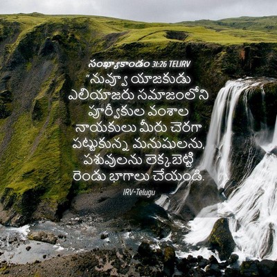 Picture 04 - సంఖ్యాకాండం 31:26 TELIRV - “నువ్వూ యాజకుడు - Bible Verse Picture