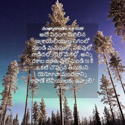 Picture 04 - సంఖ్యాకాండం 31:30 TELIRV - అదే విధంగా - Bible Verse Picture