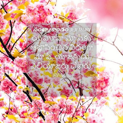 Picture 04 - సంఖ్యాకాండం 31:31 TELIRV - యెహోవా మోషేకు - Bible Verse Picture
