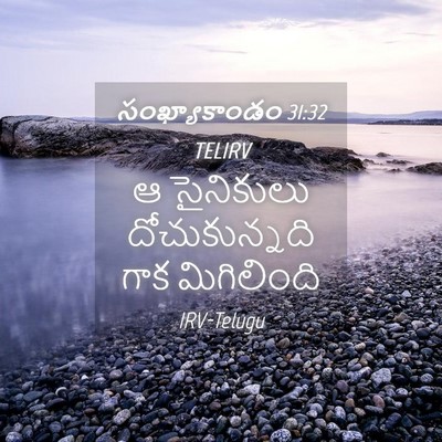 Picture 04 - సంఖ్యాకాండం 31:32 TELIRV - ఆ సైనికులు - Bible Verse Picture