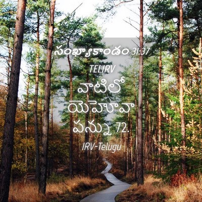 Picture 04 - సంఖ్యాకాండం 31:37 TELIRV - వాటిలో యెహోవా - Bible Verse Picture