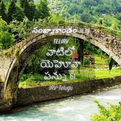 Picture 04 - సంఖ్యాకాండం 31:39 TELIRV - వాటిలో యెహోవా - Bible Verse Picture