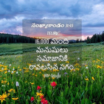 Picture 04 - సంఖ్యాకాండం 31:45 TELIRV - 16,000 మంది మనుషులు - Bible Verse Picture
