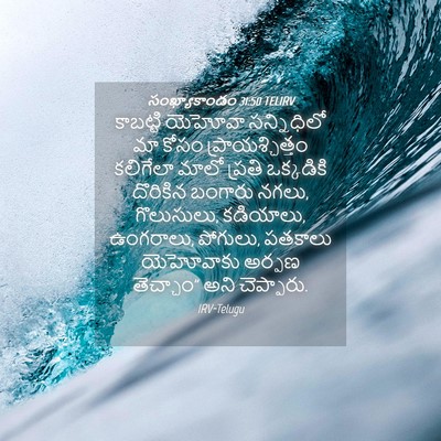 Picture 04 - సంఖ్యాకాండం 31:50 TELIRV - కాబట్టి యెహోవా - Bible Verse Picture