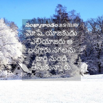 Picture 04 - సంఖ్యాకాండం 31:51 TELIRV - మోషే, యాజకుడు - Bible Verse Picture
