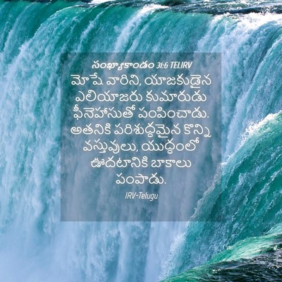 Picture 04 - సంఖ్యాకాండం 31:6 TELIRV - మోషే వారిని, - Bible Verse Picture