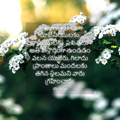Picture 04 - సంఖ్యాకాండం 32:1 TELIRV - రూబేనీయులకు, - Bible Verse Picture