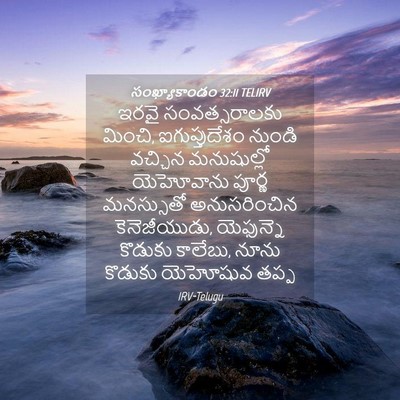 Picture 04 - సంఖ్యాకాండం 32:11 TELIRV - ఇరవై సంవత్సరాలకు - Bible Verse Picture