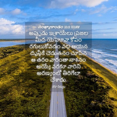 Picture 04 - సంఖ్యాకాండం 32:13 TELIRV - అప్పుడు ఇశ్రాయేలు - Bible Verse Picture