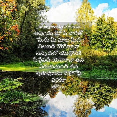 Picture 04 - సంఖ్యాకాండం 32:20 TELIRV - అప్పుడు మోషే - Bible Verse Picture
