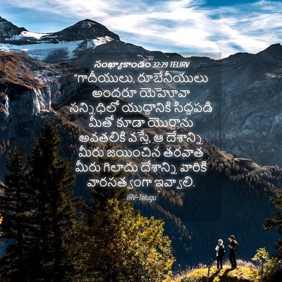 Picture 04 - సంఖ్యాకాండం 32:29 TELIRV - “గాదీయులు, - Bible Verse Picture